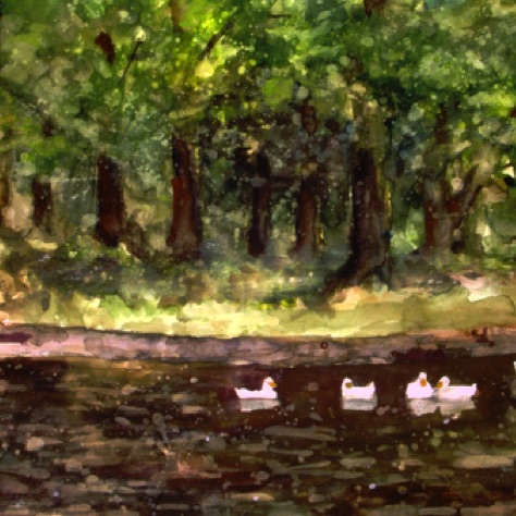 Centennial Park Ducks
18x24
